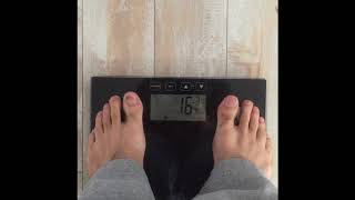 How To Use Taylor body fat scale tutorial