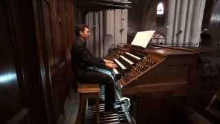 Eugène Gigout: Toccata en si mineur. Arturo Barba; Organ Merklin-Schütze (1857), Murcia Cathedral