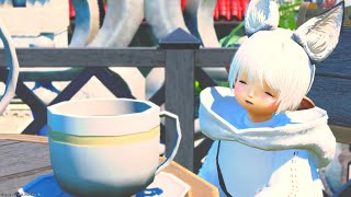 【　#ff14 　】#172   黒手帳とか日課週課やる～