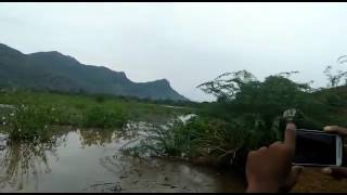 kadaladi lake (paruvathamalai)