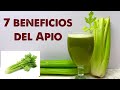 7 Beneficios del jugo de apio - te pondras  más saludable que nunca!