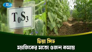 'চিয়া সিড' এর পুষ্টিগুণ সম্পর্কে জানলে অবাক হবেন! | Chia Seeds | Rtv News