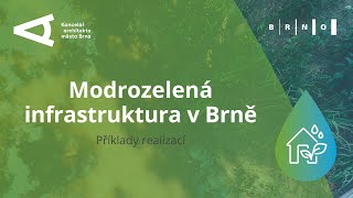 Modrozelená infrastruktura v Brně: Příklady realizací