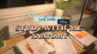 Real time study with me - Anatomy (med student)