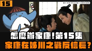 【怎麼辦家康】第15集・歷史解說 | 秀吉裝傷兵？家康打算跟淺井長政聯手？