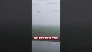 গ্রামে প্রচন্ড কুয়াশা পড়ছে #viralvideo #reelsvideo