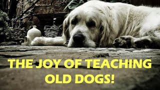 2024.01.21 The Joy of Teaching Old Dogs!