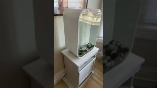 New Biorb Aquarium