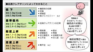 看護学生講座 282 腎 血液検査｢血清クレアチニン値(Cr)での腎機能評価 と意味＋ 8待ちとは？」