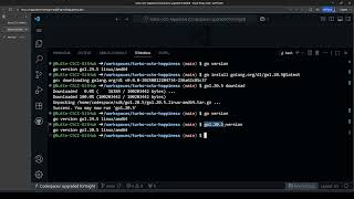 Installing Specific Golang Versions in GitHub Codespaces