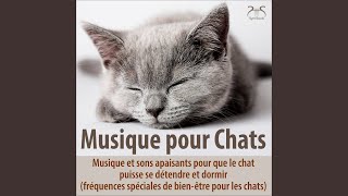 Calmez le chat : Alpha Binaural Beats, musique à large spectre de fréquences - couvre tous les...