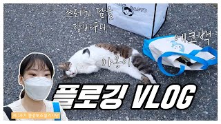 조깅하면서 쓰레기 싹쓰리 I 북유럽 운동문화 플로깅(Plogging) I 브이로그(VLOG)