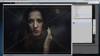 JD Special Effects Spider Web Overlays