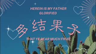 多结果子/中文赞美 | Bear Much Fruit/Chinese Hymn | 또 하나의 열매를 바라시며/중국어 찬양