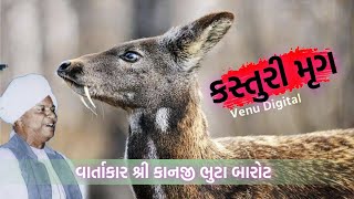 કસ્તુરી મૃગ//વીંધેલા વીંધાય//વાર્તાકાર shree Kanji bhuta Barot