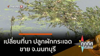 เปลี่ยนที่นา ปลูกผักกระเฉดขาย จ.นนทบุรี (11 ม.ค. 64)