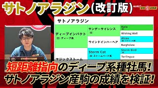 【サトノアラジン/改訂版】 ディープ系では異色、だからこそ馬券的には面白い種牡馬！