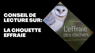 Un chouette livre sur: La chouette effraie