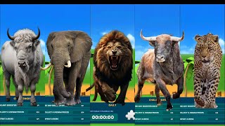 bison 🆚 elephant 🆚 lion 🆚 bulls 🆚 leopard 🎶 Who is the Best?