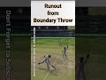 Best throw from Boundary & get the batsman runout - Cricket 19 #shorts