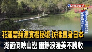 花蓮萬榮賞櫻秘境 浪漫氛圍如置身日本－民視新聞