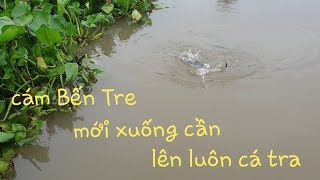 Bịch cám rách làm nên chuyện lớn. Cả bầy cá tra sông tranh mồi, kéo đả tay | Săn bắt SÓC TRĂNG |