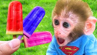 Monkey BonBon  Goes For a Cool Swim and Eats Cool Watermelon Ice Cream - BonBon Farm