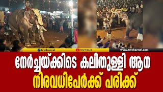 പുതിയങ്ങാടി നേർച്ചയ്ക്കിടെ കലിതുള്ളി ആന; മുപ്പതോളം പേർക്ക് പരിക്ക് | Malayalam News | Puthiyangadi