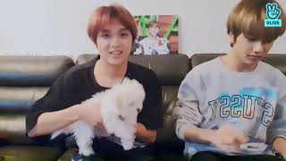 [ENG/INA/THAI SUB] NCT DREAM HAECHAN JISUNG CHENLE VLIVE (ft. Daegal)