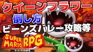 クイーンフラワーの倒し方＆ビーンズバレーの行き方(パタパ隊の登り方)や攻略等【スーパーマリオRPGリメイク】