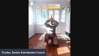 20 mins of Meipadam #meipadam routine for strengthening Legs #mudgar #karlakattai #mace #gada