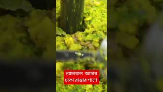 ন্যাচারাল আচার ঢাকা রাস্তার পাশে#country #Life#blog#Bangladesh #shortvideo