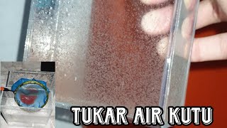 TUKAR AIR KUTU CARA MUDAH. 1 HARI KUTU DAH MELETOP?