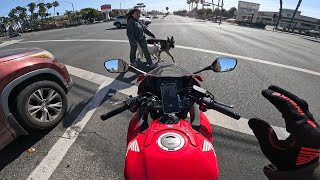 Just having some fun | 2024 CBR650R (e-clutch) | 4K