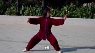 Yilu, por Pan Ying 北京陈式太极拳83式—潘英老师演示