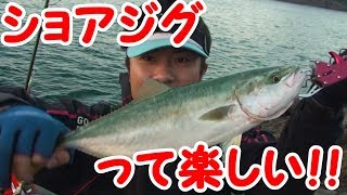 地磯からショアジギング！！誕生日にメモリアルフィッシュは釣れるのか…