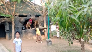 ഒരു ഫാം സന്ദർശനം I Seashore farm \u0026 Nursery Kakathiruthi #nature #travel #thrissur #trending