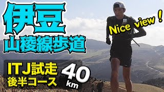 伊豆をトレイルランニング！富士山ドン！の絶景コース、伊豆山稜線歩道を走ります［天城峠・仁科峠・達磨山］