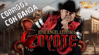 El Coyote 🔥y Su Banda Las 20 Mejores Canciones ~ Puras Para Pistear ~ El Coyote Mix Con Banda✅132