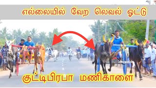 Rekla race || எல்லையில் வேற லெவல் ஓட்டு குட்டிபிரபா மணிகாளை ஏம்பல் பெரியமாடு 08.07.2023