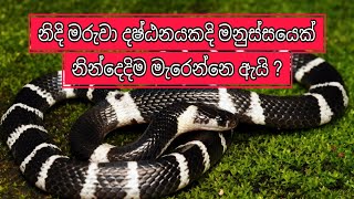 නිදිමරුවා දෂ්ඨනය #medicine #snake #snakebite