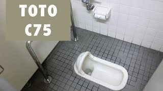 TOTO C75｜けやき会館