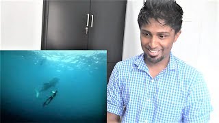 Wonderful Indonesia | Raja Ampat Papua REACTION