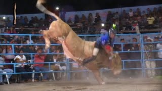 PURO TORO DE TONELAJE Rancho El Horno En Copalillo Guerrero 2024