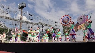 「よさこい江州：愛翔」長浜あざいあっぱれ祭り2016 セミファイナル【メイン会場】