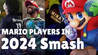 How Did Mario Players Perform in 2024 Smash Ultimate?