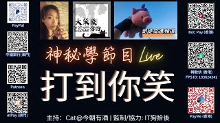 《大笨象旁的貓》直播神秘學節目：打到你笑｜主持：Cat@今朝有酒 \u0026 IT狗拾後