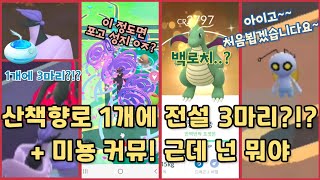 가라르 전설 새가 산책향로 1개에서 3마리나..?!? + 미뇽 커뮤니티데이, 그리고 새로운 포켓몬 등장! (포켓몬고, 포고, 포켓몬스터 스칼렛바이올렛)