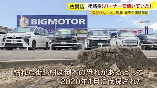 街路樹「バーナーで焼いていた」　ビッグモーター店舗前で目撃　住民が市議に相談　福岡・古賀市　／　（2023/08/04  OA）