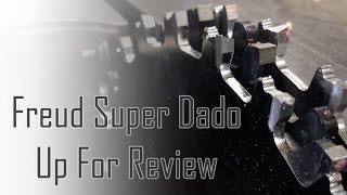 Freud Super Dado, Up For Review